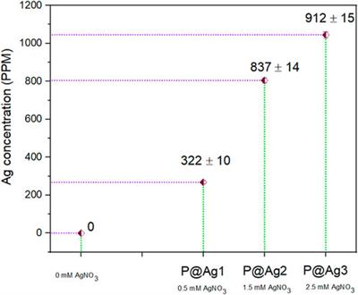 Biosynthesis of novel metallic silvers on kraft papers using cephalotaxus harringtonia fruit extract as a sustainable stabilizing agent (KP@AgNP)